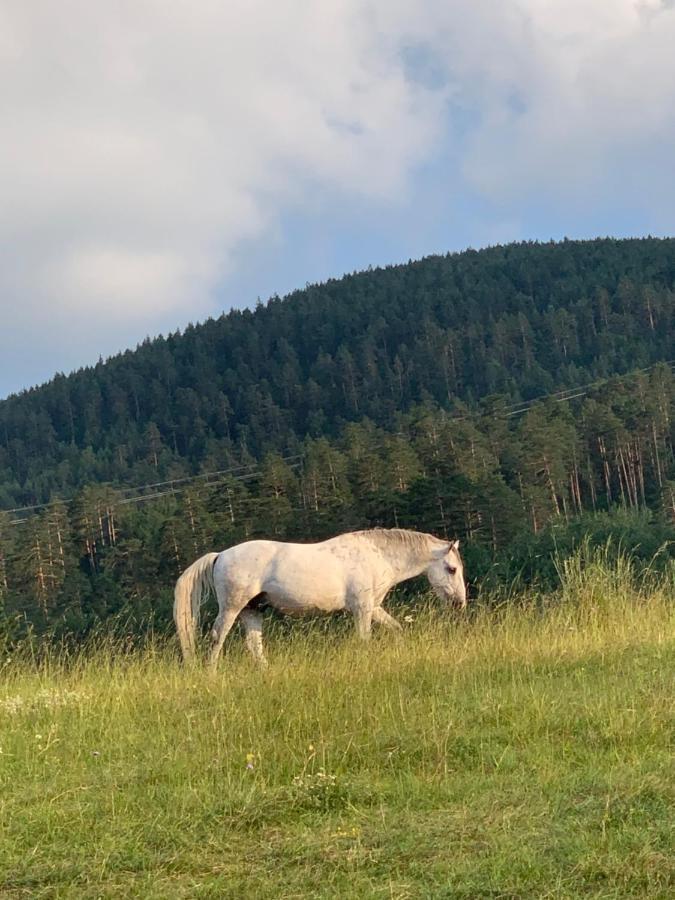 Ng Apartmani Tornik Zlatibor Luaran gambar