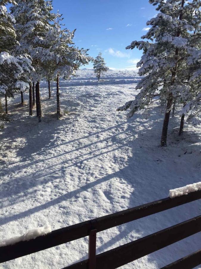 Ng Apartmani Tornik Zlatibor Luaran gambar