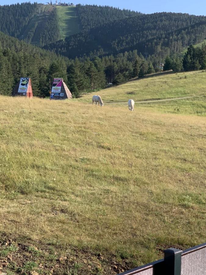 Ng Apartmani Tornik Zlatibor Luaran gambar