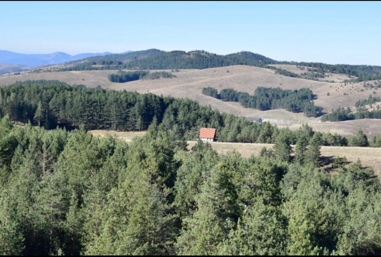 Ng Apartmani Tornik Zlatibor Luaran gambar